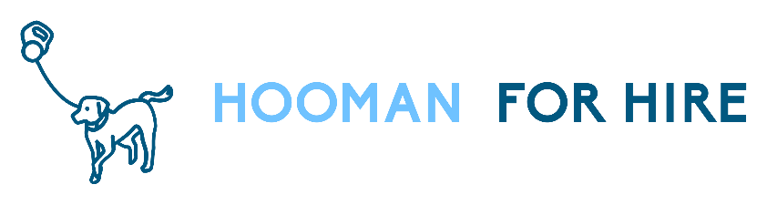 A blue and black textAI-generated content may be incorrect.